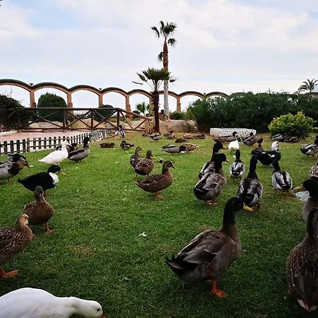 Appartement En Marina D'or Primera Linea Real *